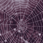 Untitled design (16) (1)